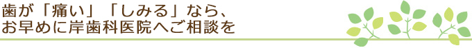 歯が「痛い」「しみる」なら、お早めに岸歯科医院へご相談を