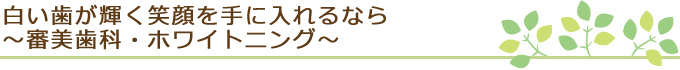 白い歯が輝く笑顔を手に入れるなら～審美歯科・ホワイトニング～