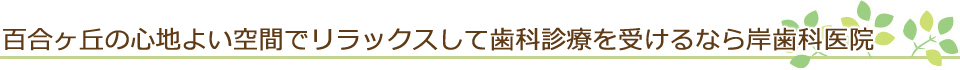 百合ヶ丘の心地よい空間でリラックスして歯科診療を受けるなら岸歯科医院