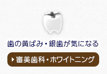 歯の黄ばみ・銀歯が気になる審美歯科・ホワイトニング