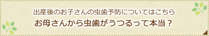 出産後のお子さんの虫歯予防についてはこちらお母さんから虫歯がうつるって本当？